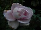 DSCN2227