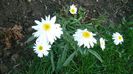 Picture 2327