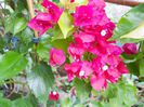 DSCN6770