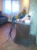IMG_20130920_193232