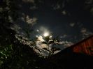 DSCN2258