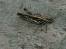 DSCN2272