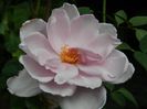 DSCN2282