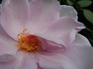 DSCN2289