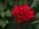 DSCN2297