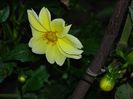 DSCN2299