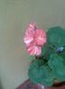 Imag093
