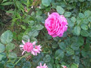 DSCF2802