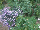 DSCF2805