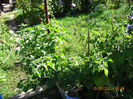 Picture 044