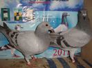 2013 pui no 106