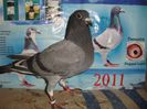 2013 pui no 118