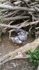 WP_20130922_122