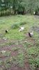 WP_20130922_082