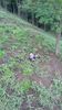 WP_20130922_079