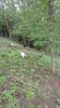 WP_20130922_073