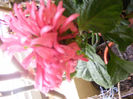 DSCF0224[2]
