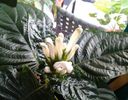 20130923_124158