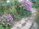 DSCF2817