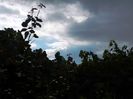 DSCN2332