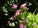 DSCN2377