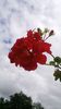 WP_20130922_112