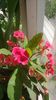 WP_20130922_056
