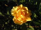 DSCN4348