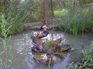 Mandarin