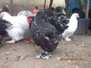 92907976_TPHPMYJ
