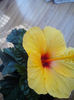 IMG_20130925_125053