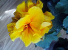 IMG_20130925_125214