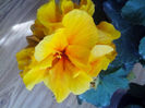 IMG_20130925_125216