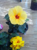 IMG_20130925_125325