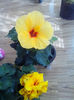 IMG_20130925_125327