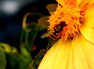 DSCN2561