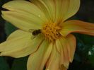 DSCN2565