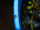 DSCN2652