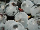 DSCN2657
