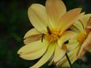DSCN2707