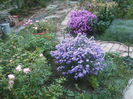DSCF2837