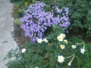 DSCF2838