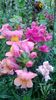 WP_20130922_098