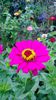 WP_20130922_096