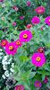WP_20130922_097