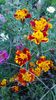 WP_20130922_101
