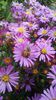 WP_20130922_065
