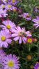 WP_20130922_063