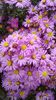 WP_20130922_061
