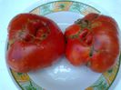 GIANT RED